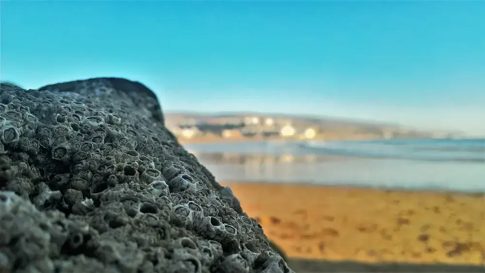 Aourir dévoilée : Un guide pratique pour le voyageur curieux