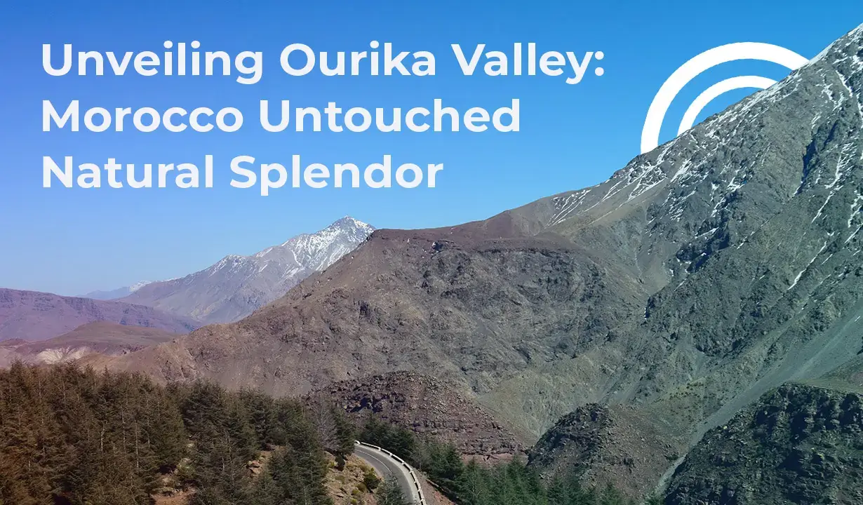 Exploring the Natural Beauty of Ourika Valley in Morocco