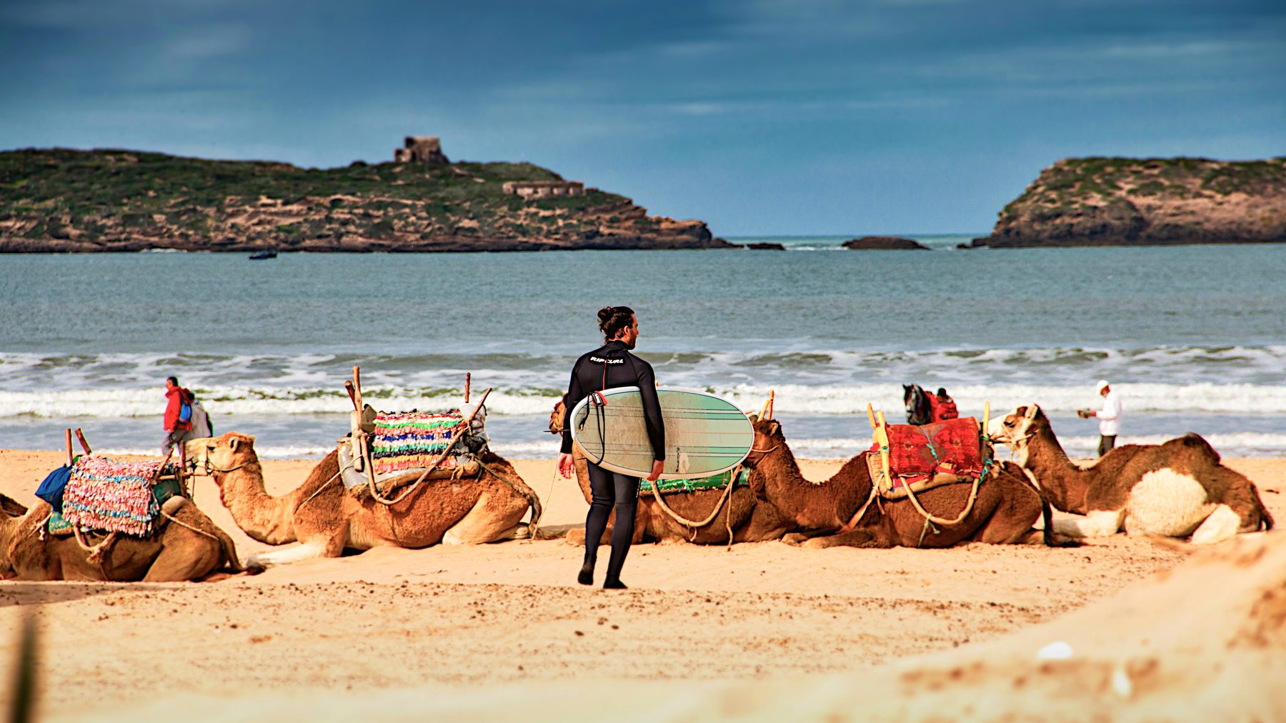 Essaouira beach, a surfer and camels